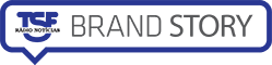 Logotipo BRANDSTORY